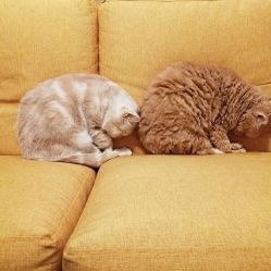 -梦巴黎婚纱摄影(仲宫店)