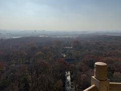 -灵谷景区