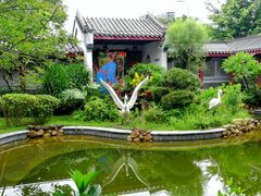 -大亚湾红树林城市湿地公园