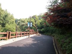 -杭州半山国家森林公园