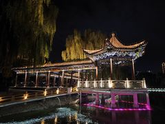 -金城公园