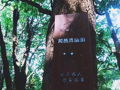 -阿酋湾水上乐园