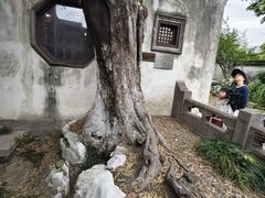-观潮胜地公园