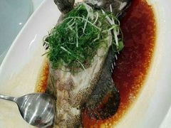 -大东海海鲜酒楼(渔人码头总店)