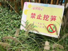 -南翔镇银翔湖公园