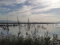 -野鸭湖国家湿地公园