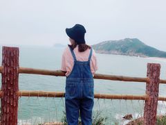 -广东惠东海龟国家级自然保护区