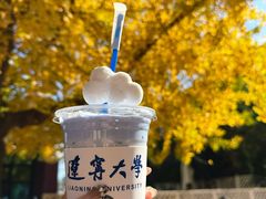-辽宁大学(崇山校区)
