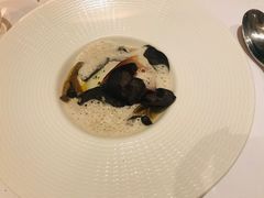 -蝶舍·MAISON PAPILLON