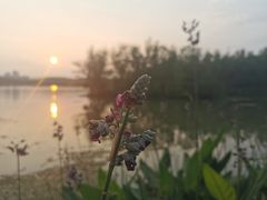 -昆山城市生态森林公园