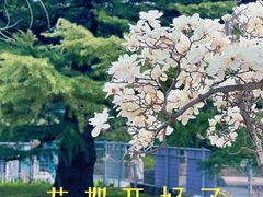 -国家植物园
