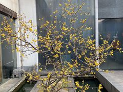 -龙吟九品(青龙山庄店)