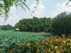 -玄武湖景区-情侣园游乐场