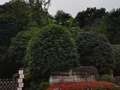-忠山公园