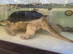 -粮心小农·大头虾亲子生态园(长发店)