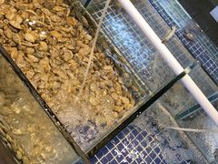 -庆余生平价生猛海鲜(海棠湾林旺夜市店)