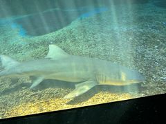 -泉城欧乐堡海洋极地世界