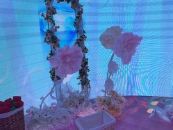 点击看大图 -超级奈尔宝SUPER NEOBIO(杭州星光店)