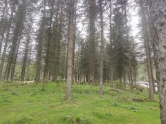 -硗碛藏寨·神木垒景区