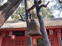 -武侯墓风景区