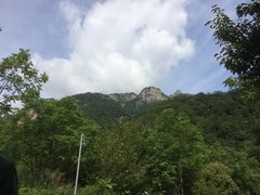 -王顺山国家森林公园