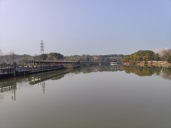 -八大山人梅湖景区