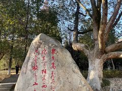 -敬亭山风景名胜区