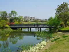 -两河城市森林公园