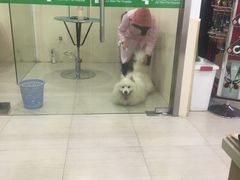 -佳雯宠物医院(四明中路分院)