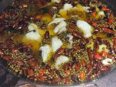 -雲蜀龙阁·金牌水煮鱼(方庄店)