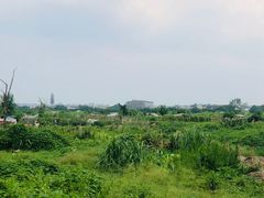 -两河城市森林公园