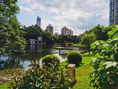 -晓港公园