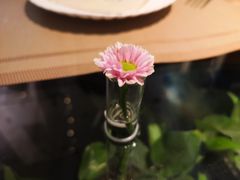 -春树下·树屋花房西餐厅(罍街AS1980店)