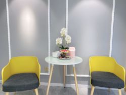 -MIVI野生眉纹绣纹眉