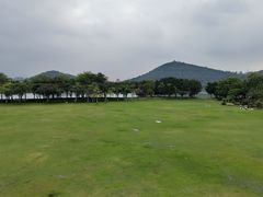 -顺峰山公园
