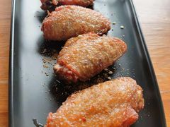 -柴犬高等学院·狗咖·柴犬售卖·宠物训练