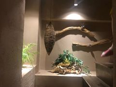 -耳艺采耳·足疗·按摩SPA(东圃店)