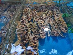 -清水湾3号(东方小周海鲜店)