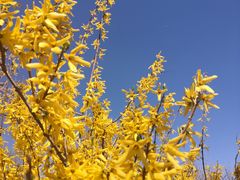 -北运河水利风景区