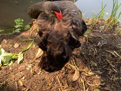 -金桥现代产业园区-停车场