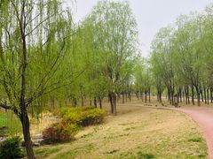 -马家湾湿地公园
