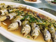 -上海阿潘舟山海鲜店(东宝兴路店)
