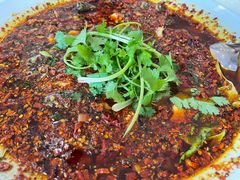 -胖大姐黄辣丁鱼庄(新津店)