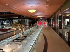 -青岛贝壳博物馆