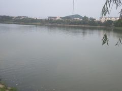 -羊山湖公园