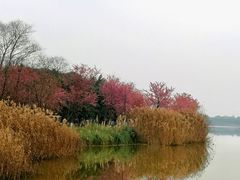 -青龙湖公园