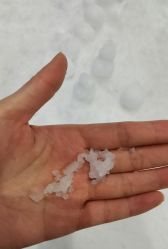 -Mr·Kuma酷么先生雪之乐园