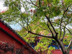 -天津妈祖文化园
