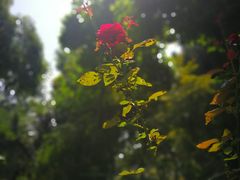 -西安关中民俗艺术博物院