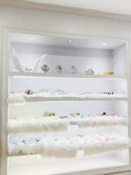 -芳妮豆丁家庭影像馆(宝安店)